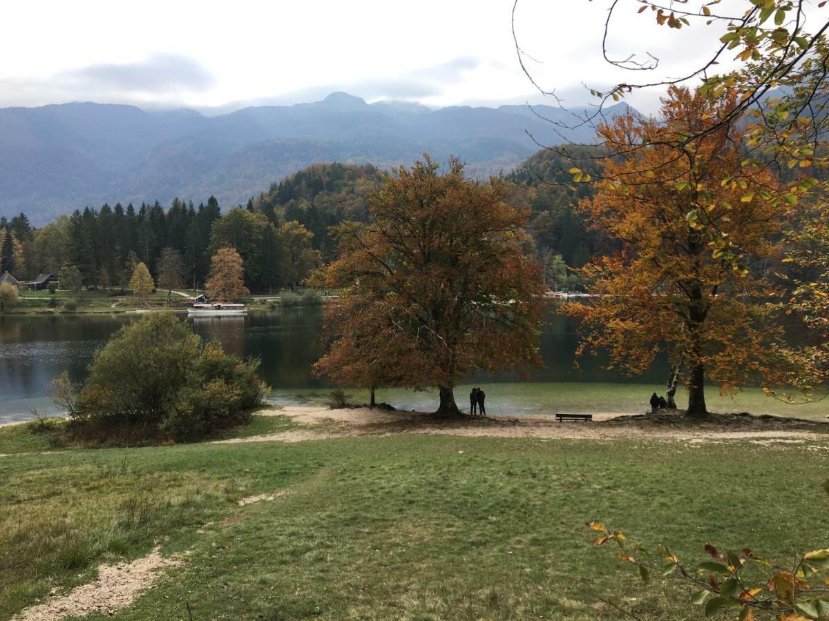 Apartma Neva Bohinj Luaran gambar