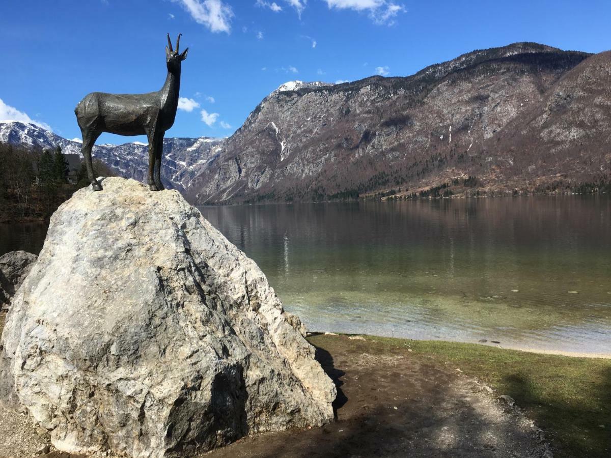 Apartma Neva Bohinj Luaran gambar